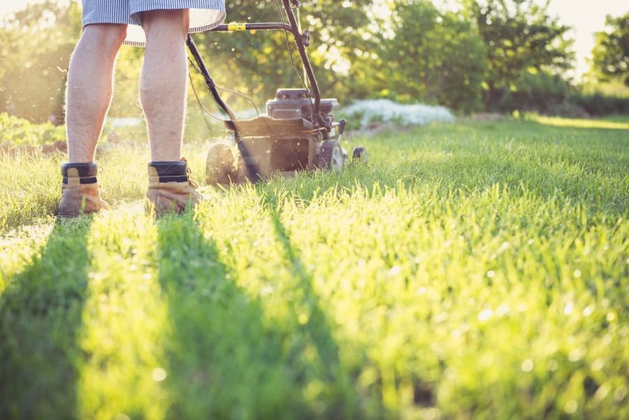 A lawn being mown