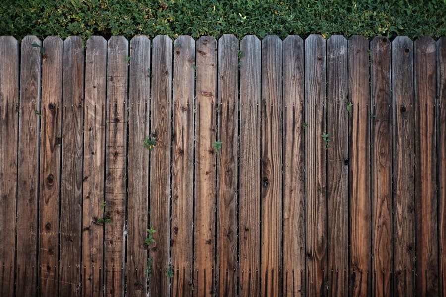 A clean timber fence below a trimmed hedge